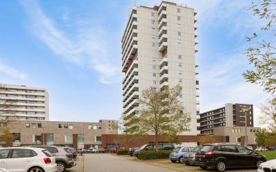 Houtweg 271