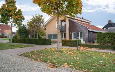 Dagpauwoog 17
