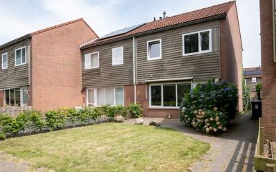Huismus 12