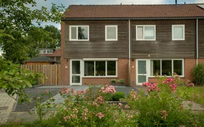 Huismus 20