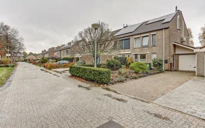 Pimpelmees 38