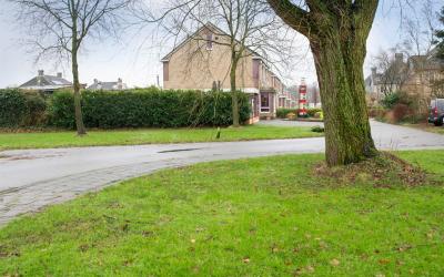 Bonte Specht 47