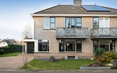 Witrugspecht 14