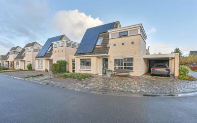 Witrugspecht 27