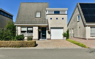 Witrugspecht 29