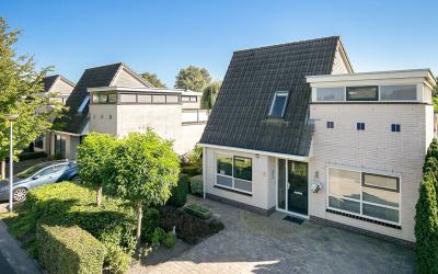 Witrugspecht 33