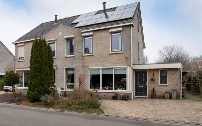 Grijskopspecht 9