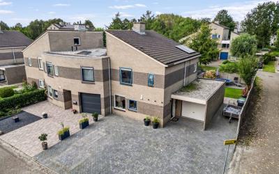 Grauwe Gans 27