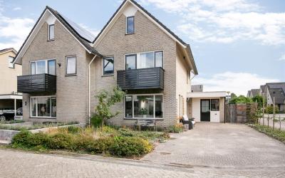 Purperreiger 1