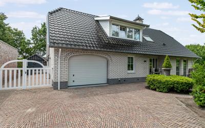 Purperreiger 28