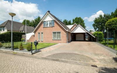 Zilverreiger 2