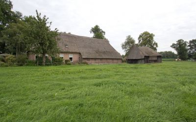 De Hoek 1