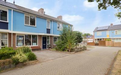 Groen van P. 26