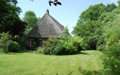 Westersteeg 6