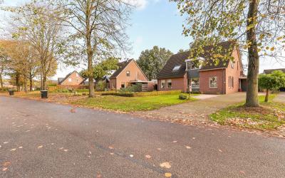Boerhoorn 15