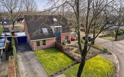 Boerhoorn 21