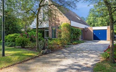 Boerhoorn 20