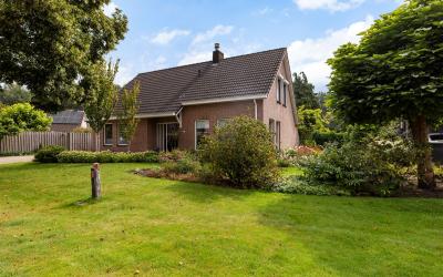 Boerhoorn 46