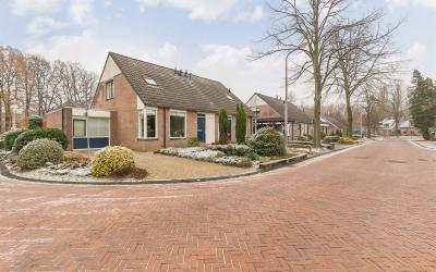 Boerhoorn 72