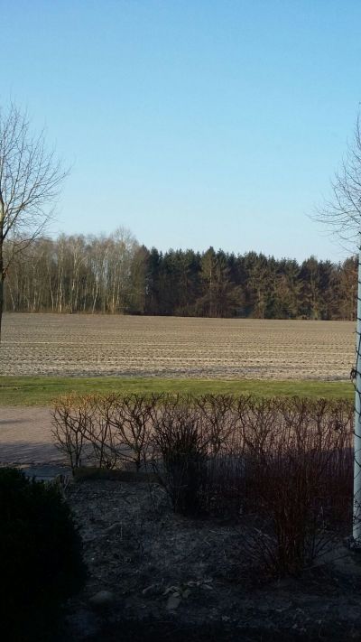 De Linden 2
