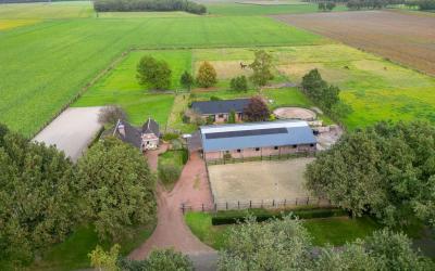 Haantje 6