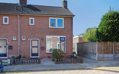 Wortelboers. 55