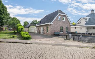 Boterbloem 5