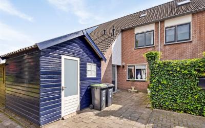 Boterbloem 55