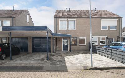 Akkerdistel 73