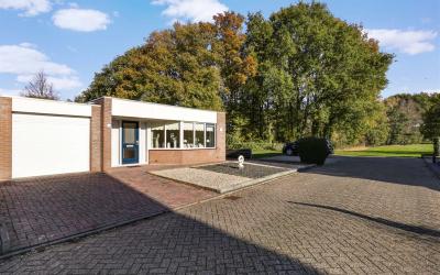 Akkerdistel 74