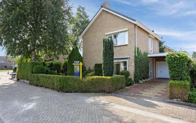 De Korenmol. 8