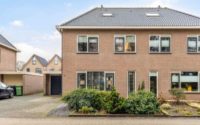 Andoorn 13