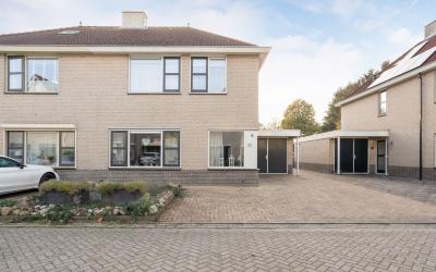 Andoorn 22