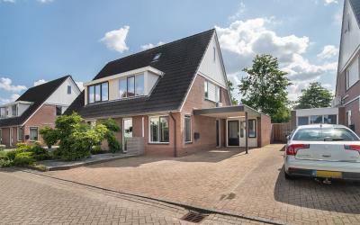 Vroegeling 24