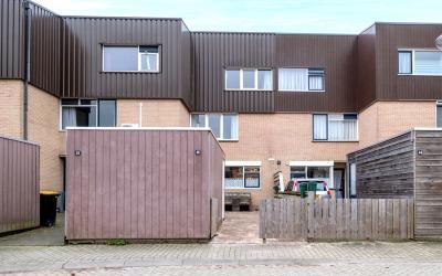 Pollux 46