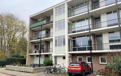De Reiger 163