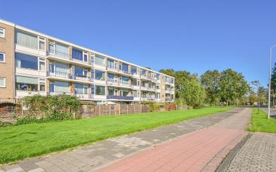 De Reiger 247