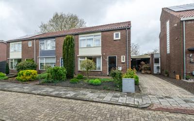 Piet Heinst. 41