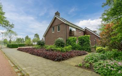Zuidwoldige. 51