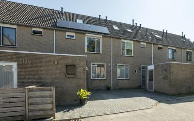 De Punter 5