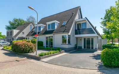 De Wrongel 31
