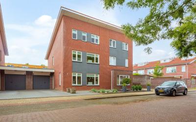 Aardbeivlin. 16