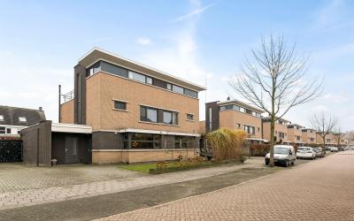 Meerval 39