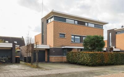 Meerval 43