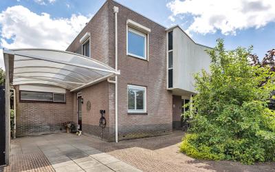Zwanebloem 13