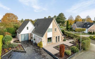 Zwanebloem 43