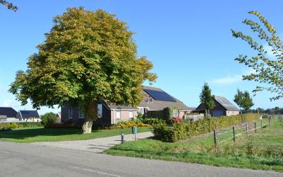 Zuideropgaa. 155