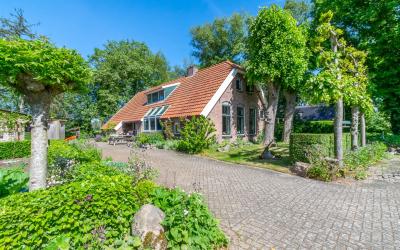 Zwartschaap 9