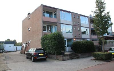 Catharinast. 29