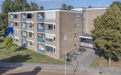 Hofstedestraat 67